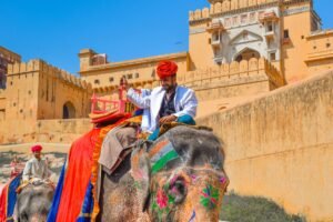 elefante a forte di amer a jaipur