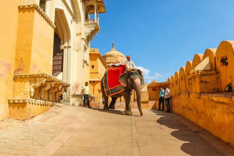 Rajasthan Tour