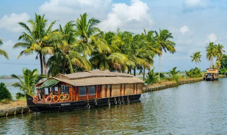 Crociera in houseboat privata ad Alleppey durante un viaggio organizzato in India del Sud