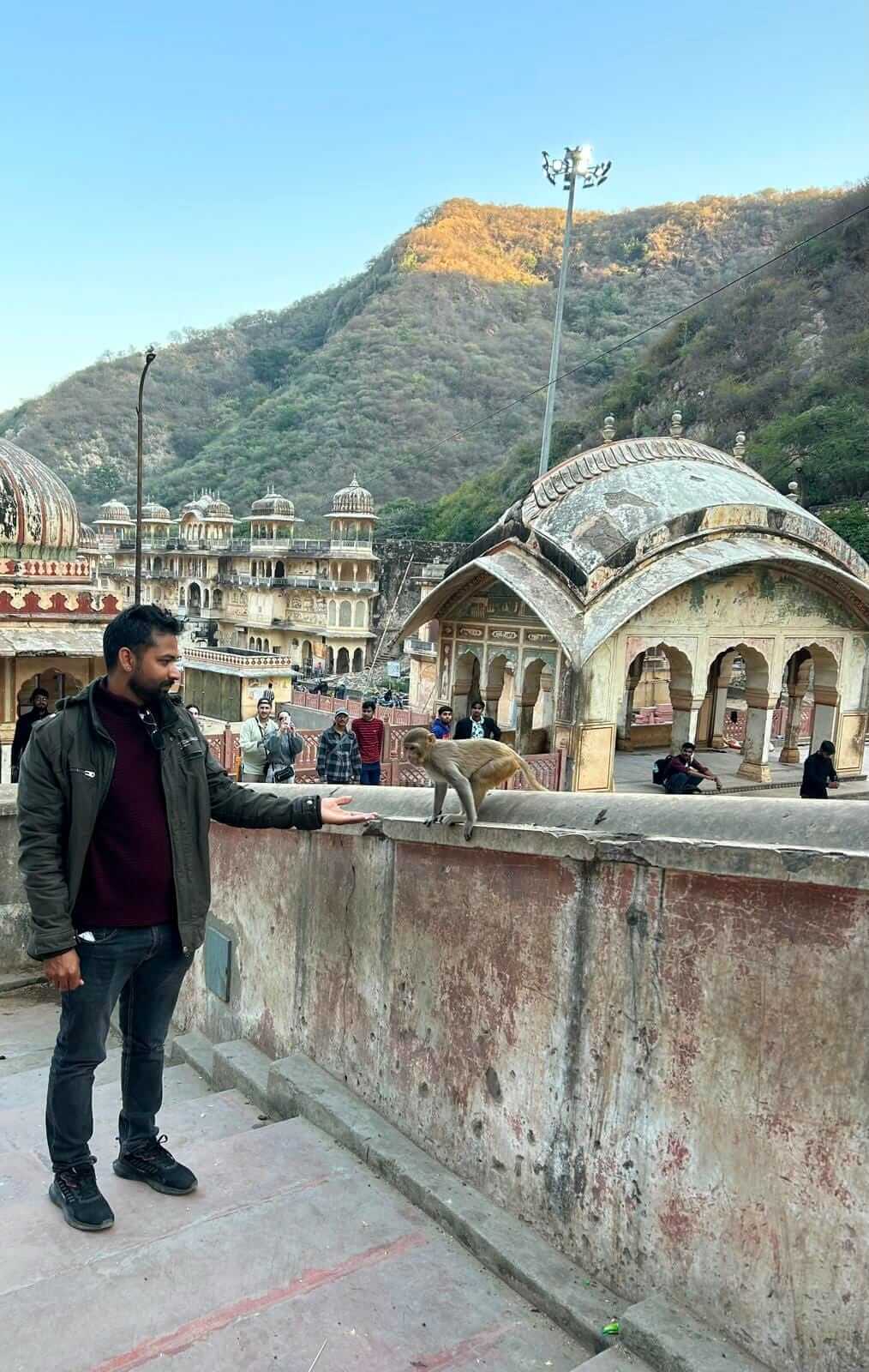 Tempio delle scimmie Jaipur
