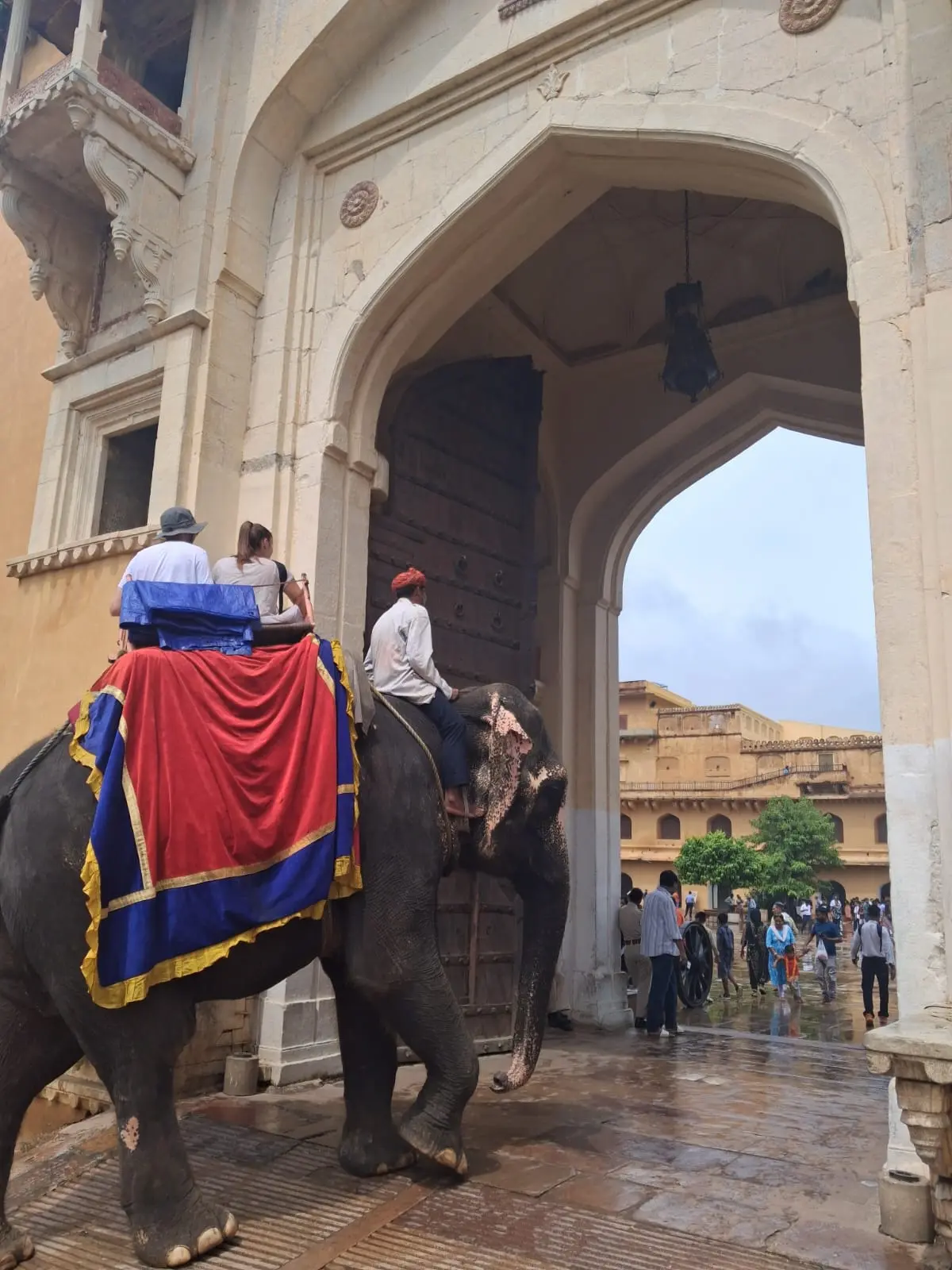 Clienti italiani a dorso di elefante al Forte di Amer durante un viaggio in Rajasthan con India Magica Tours