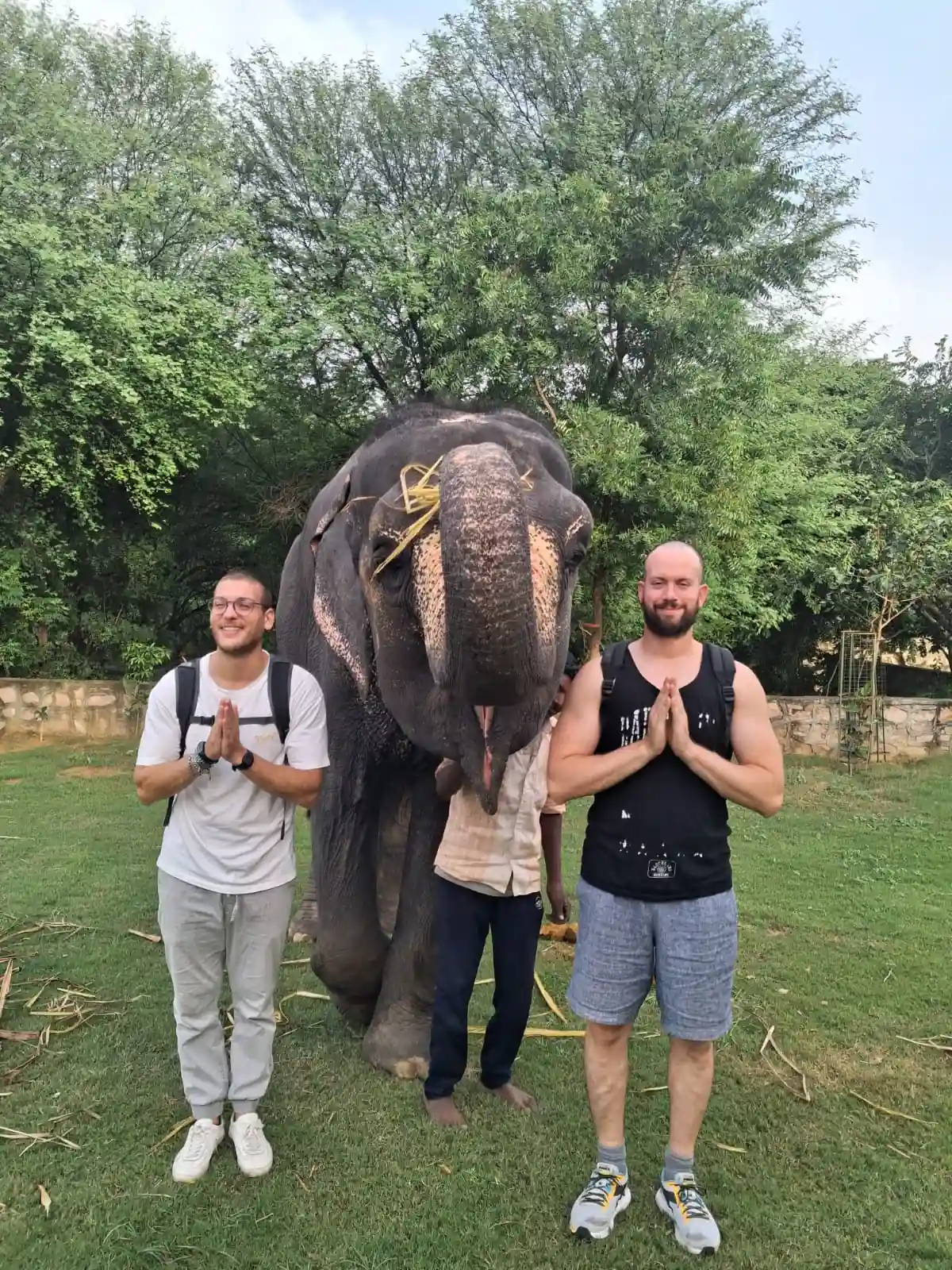 Clienti italiani con India Magica Tours insieme a un elefante a Jaipur durante un viaggio in Rajasthan e Varanasi