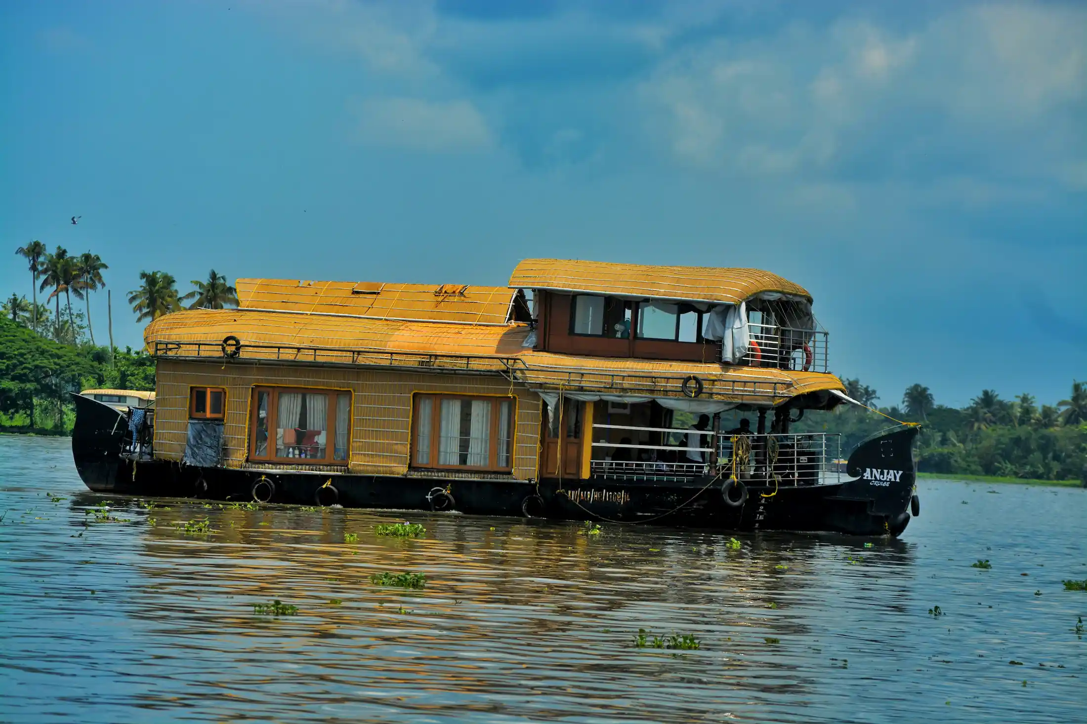 Houseboat in crociera nel lago di alleppey nel viaggio in kerala