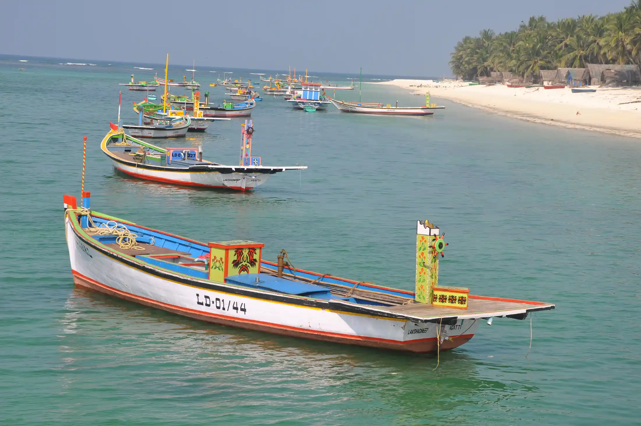 Porto di laccadive con barche tradizionali delle Laccadive nel viaggio