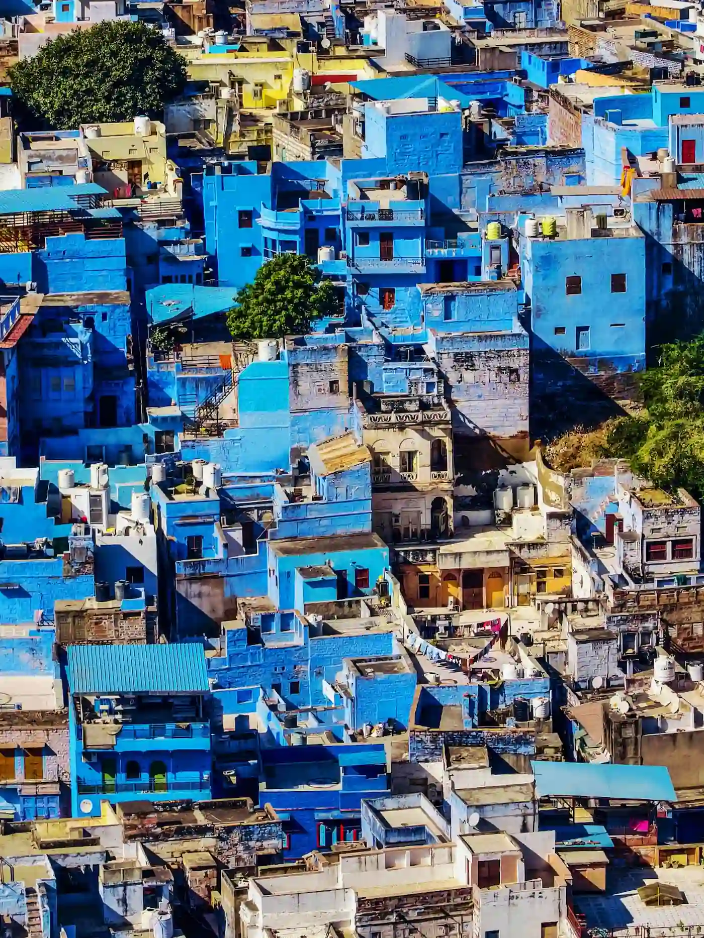 Le caratteristiche case blu della Città Blu di Jodhpur viste dall'alto