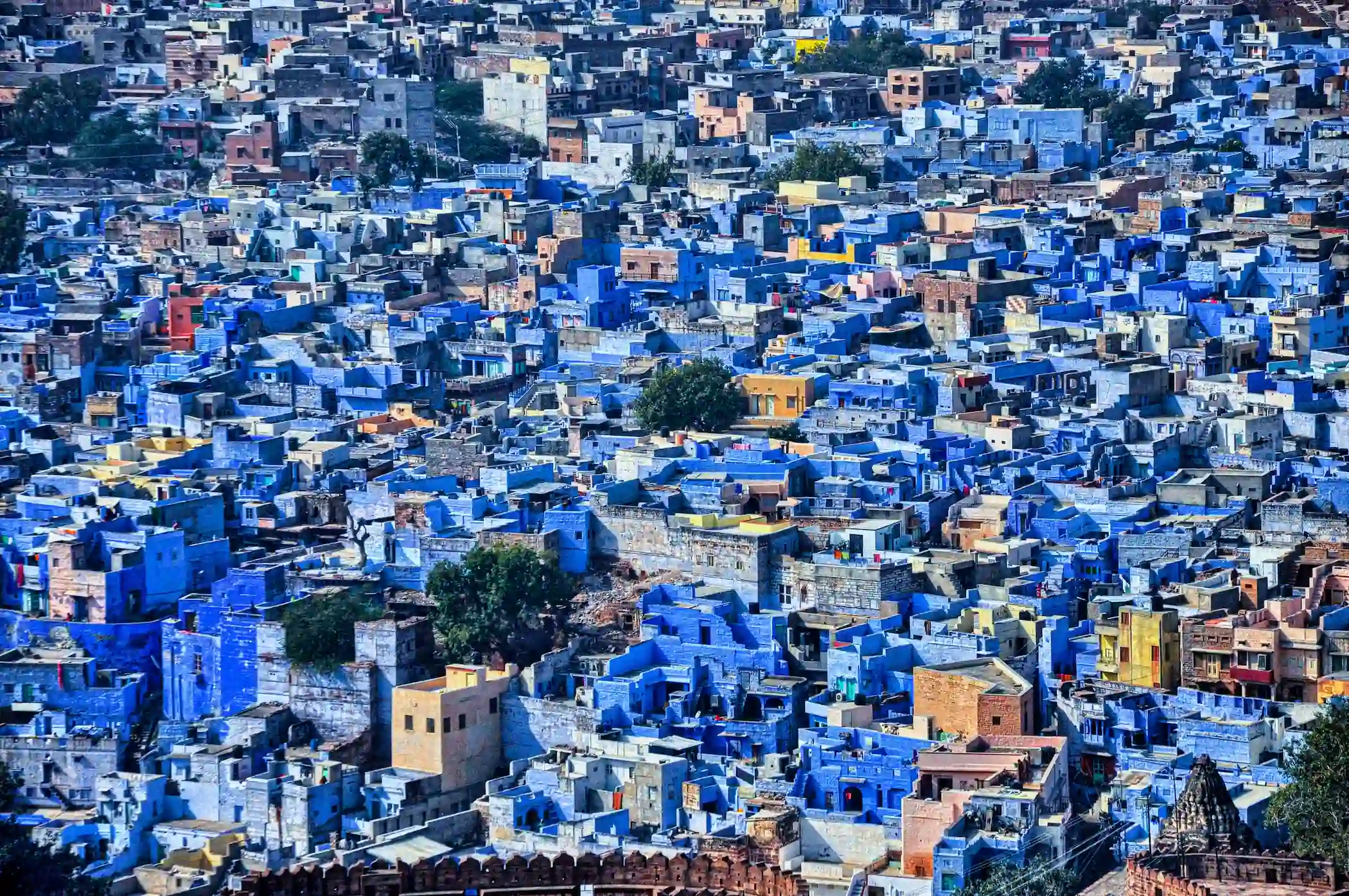 Panorama della Città Blu di Jodhpur con le celebri case dipinte di blu