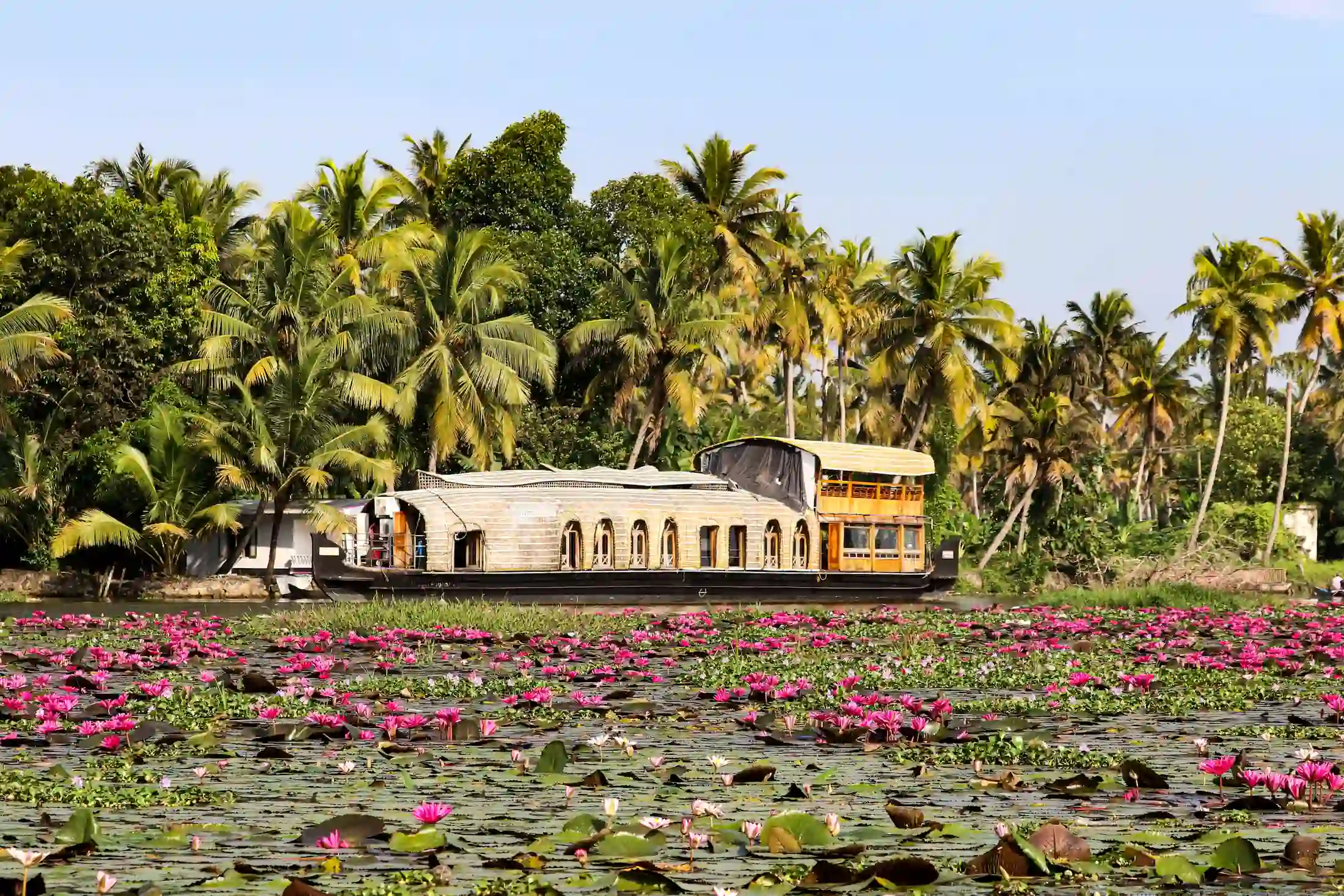 houseboat con fiori di loto e palme ad alleppey viaggio kerala