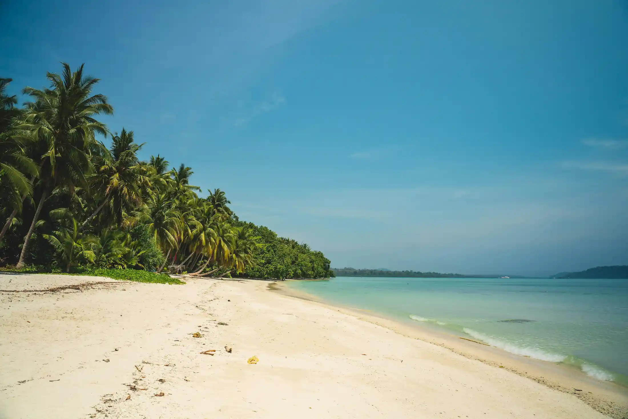spiaggia havelock nel viaggio isole andamane cosa vedere
