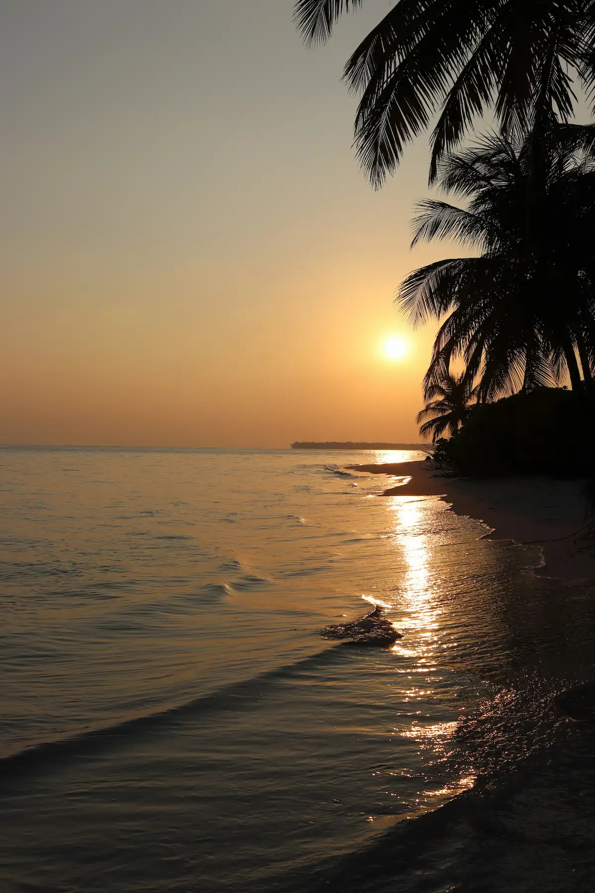 Tramonto sulle spiagge delle Laccadive con palme tropicali