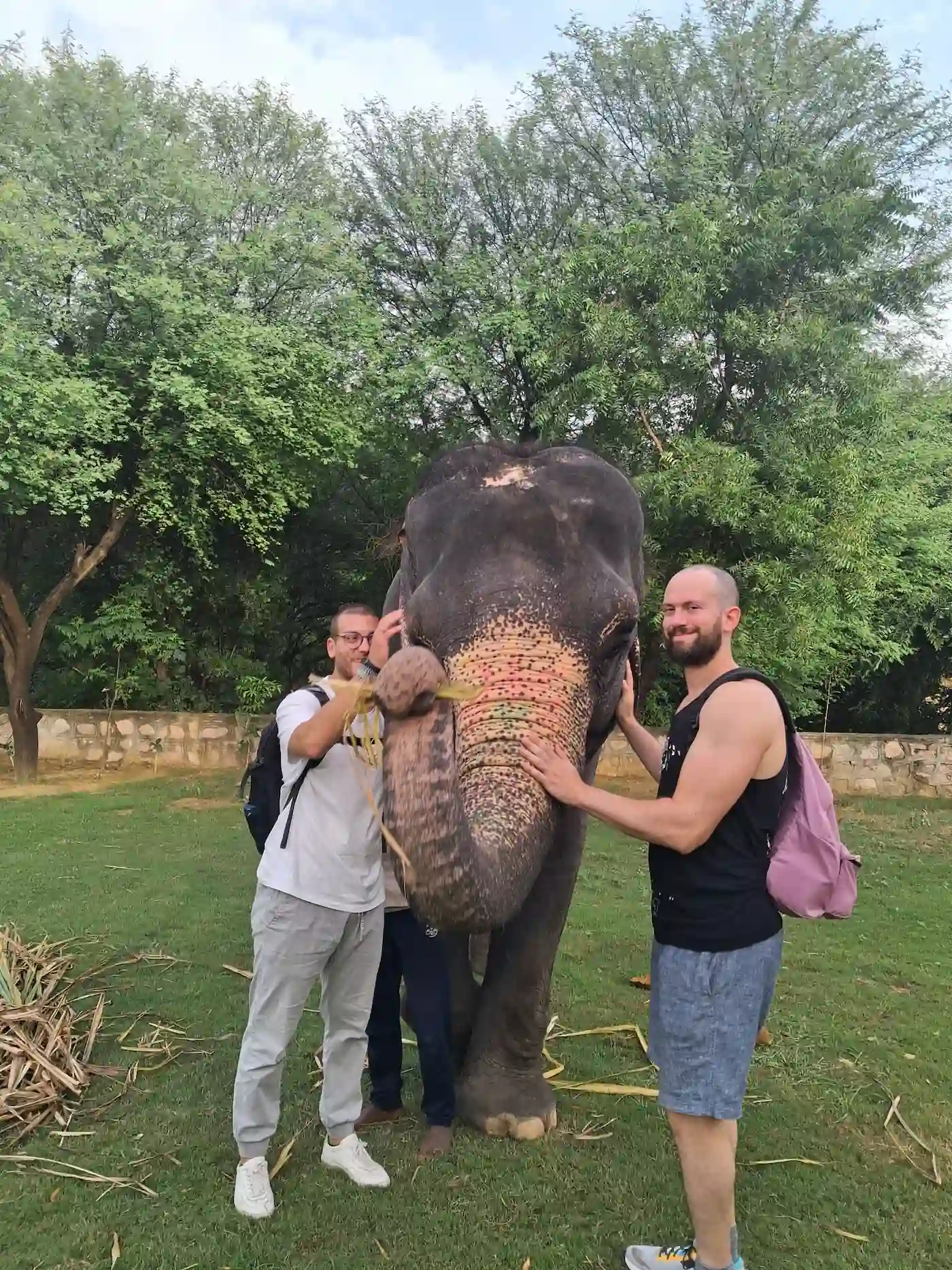 Turisti italiani con un elefante a Hathigaon, Jaipur